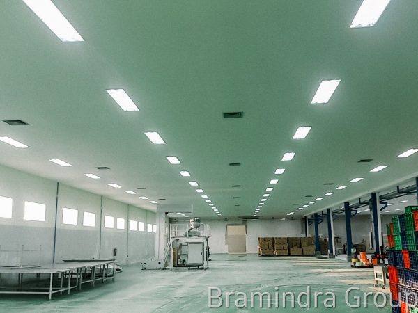 electrical_LIGHTING WORKS 7